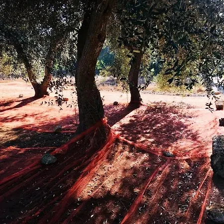 Πανσιόν Le Stanze Del Sole 3*