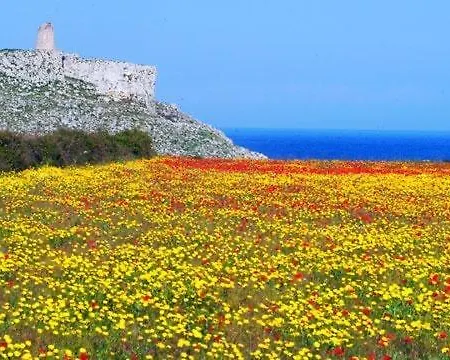 Le Stanze Del Sole Vendégház