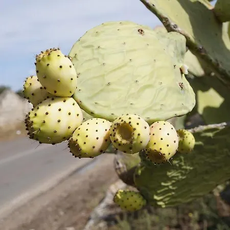 Maison d'hôtes Le Stanze Del Sole Tricase